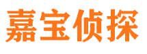 梁山侦探公司